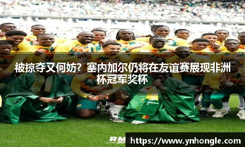  正品体育数据